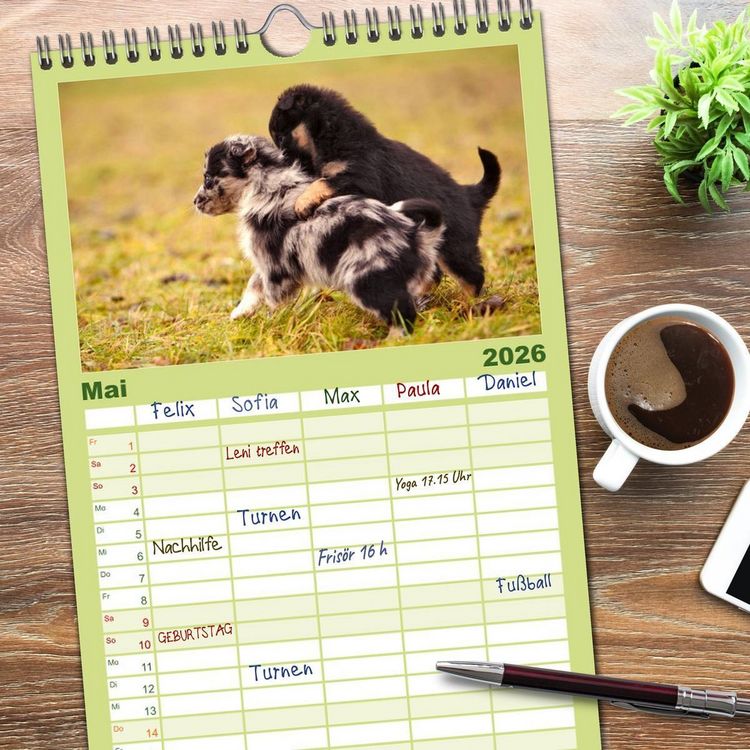 Produktbild: Familienplaner 2026 - Aussie Welpen 2026 mit 5 Spalten (Wandkalender, 21 x 45 cm) CALVENDO