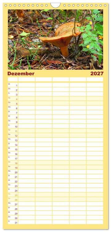 Produktbild: Familienplaner 2027 - Heimische Pilze mit 5 Spalten (Wandkalender, 21 x 45 cm) CALVENDO