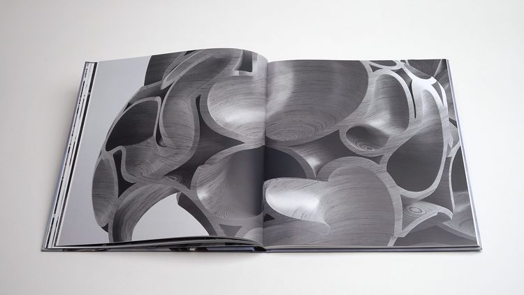 Produktbild: Tony Cragg: Points of View