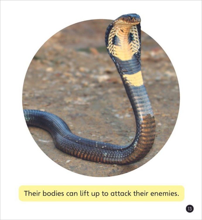 Produktbild: Real-life Monsters (Set 10)