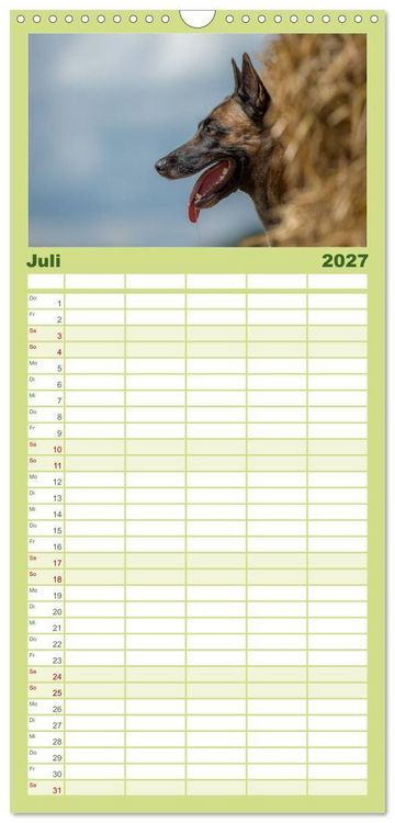 Produktbild: Familienplaner 2027 - Belgischer Sch&auml;ferhund - Der Malinois in Action mit 5 Spalten (Wandkalender, 21 x 45 cm) CALVENDO