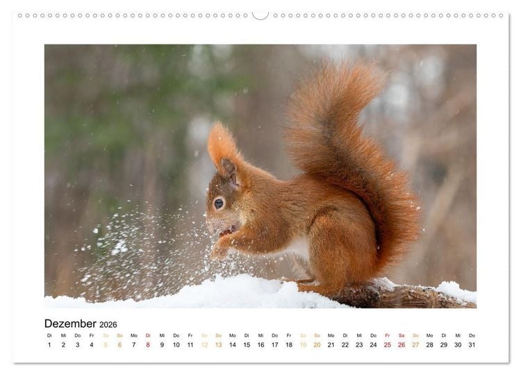 Produktbild: Wiener Tierwelt (Wandkalender 2026 DIN A2 quer), CALVENDO Monatskalender