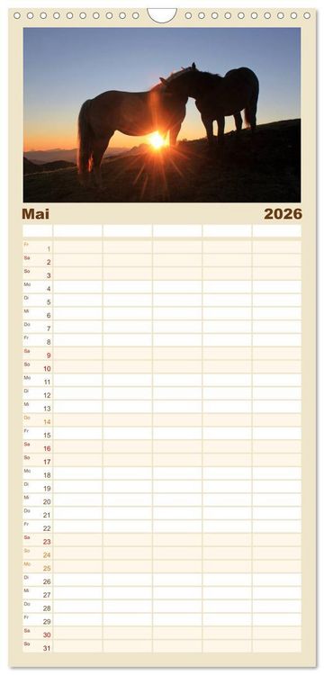 Produktbild: Familienplaner 2026 - Pferde und Ponys im Paradies mit 5 Spalten (Wandkalender, 21 x 45 cm) CALVENDO