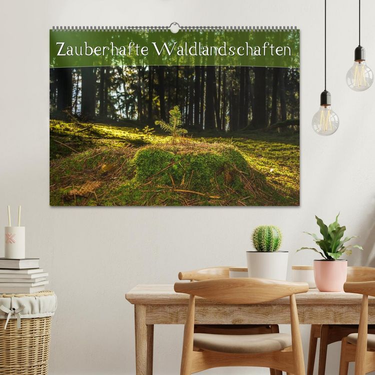 Produktbild: Zauberhafte Waldlandschaften (Wandkalender 2026 DIN A2 quer), CALVENDO Monatskalender
