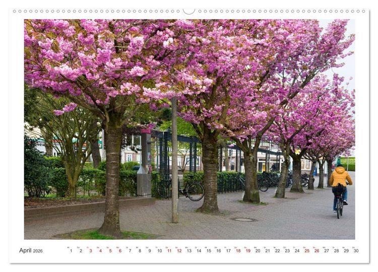 Produktbild: Buntes und bl&uuml;hendes Borkum (Wandkalender 2026 DIN A2 quer), CALVENDO Monatskalender