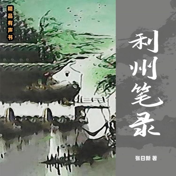 Produktbild: 利州笔录
