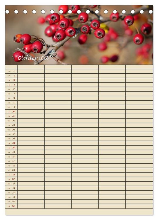 Produktbild: Kleine Natursch&ouml;nheiten (Tischkalender 2026 DIN A5 hoch), CALVENDO Monatskalender