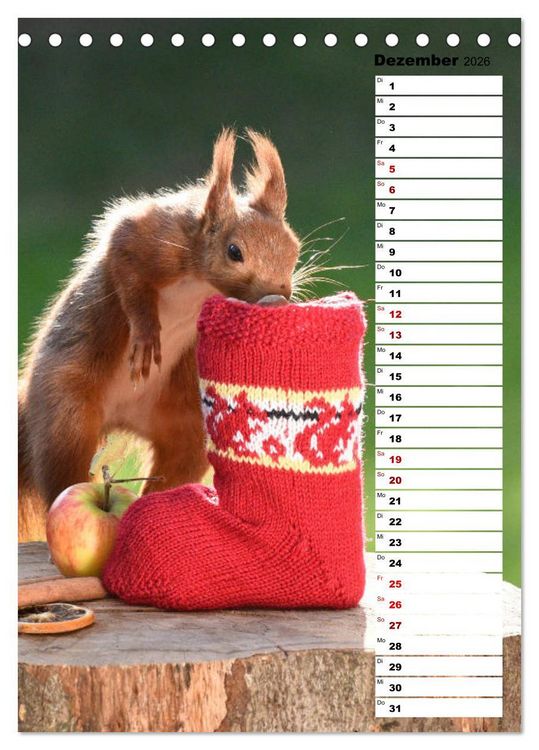 Produktbild: Eichh&ouml;rnchen - kleine Tiere, gro&szlig;e Liebe (Tischkalender 2026 DIN A5 hoch), CALVENDO Monatskalender