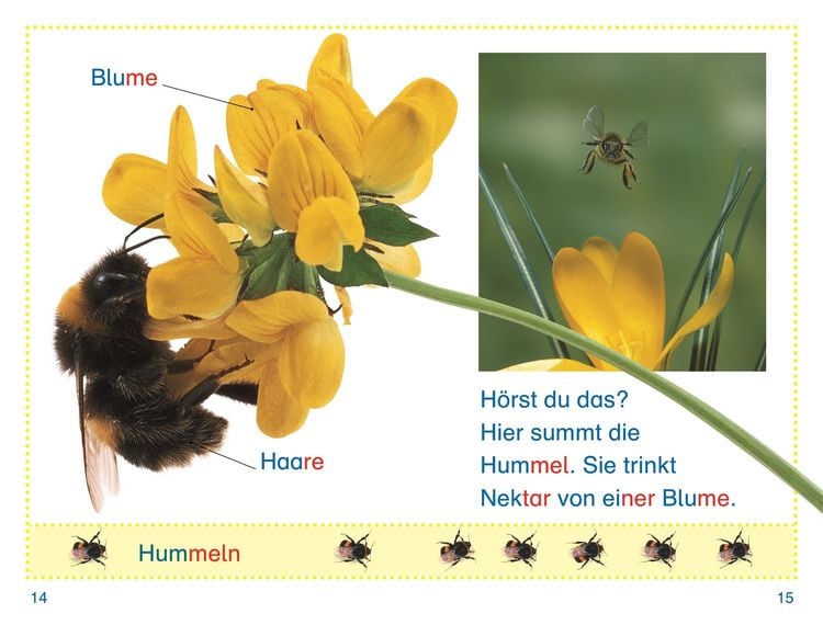 Produktbild: SUPERLESER! Wer versteckt sich im Garten?