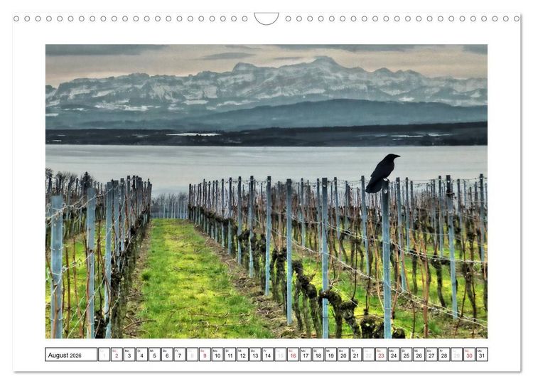 Produktbild: Bodensee - Seesucht (Wandkalender 2026 DIN A3 quer), CALVENDO Monatskalender