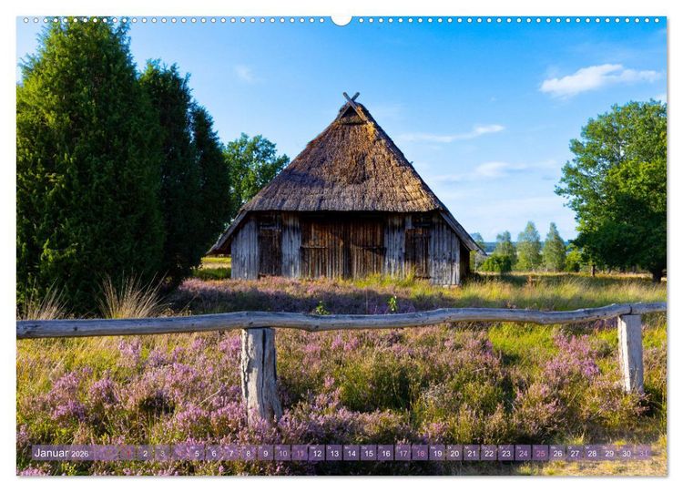 Produktbild: Im Bl&uuml;tenrausch der L&uuml;neburger Heide (Wandkalender 2026 DIN A2 quer), CALVENDO Monatskalender