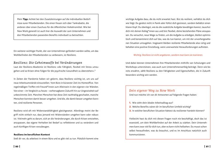 Produktbild: Eingetaucht: New Work