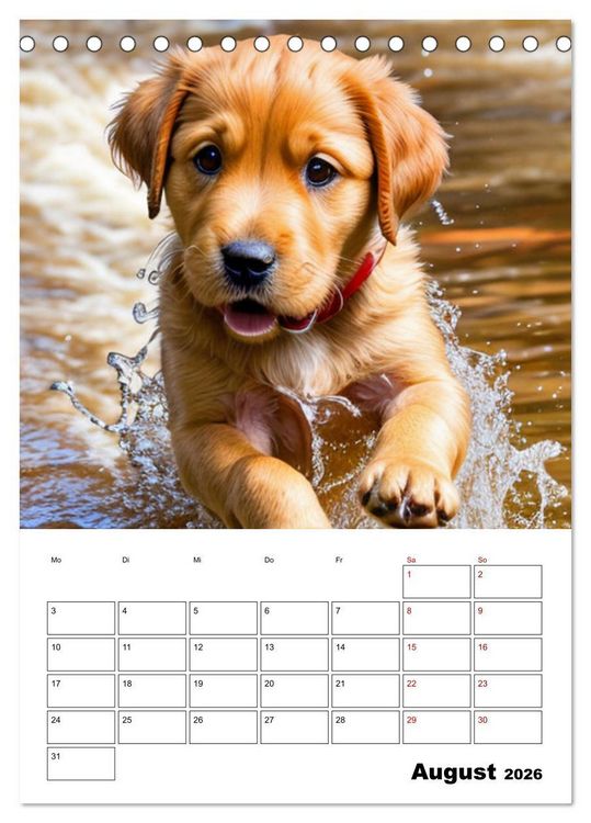 Produktbild: Mit Tieren hinein in das neue Jahr (Tischkalender 2026 DIN A5 hoch), CALVENDO Monatskalender