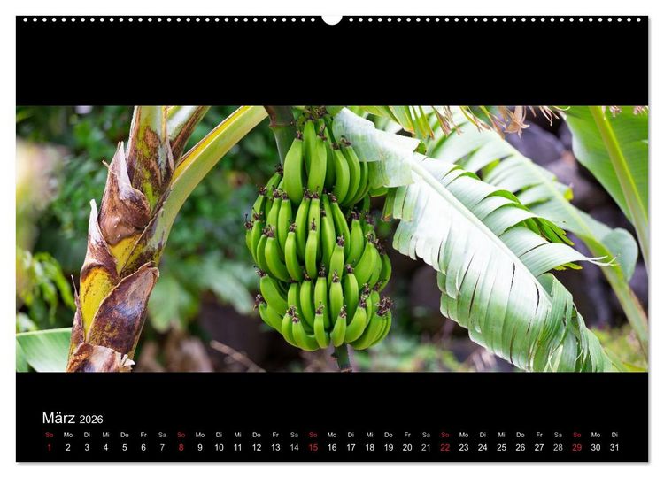 Produktbild: La Gomera - Kanarisches Naturparadies (hochwertiger Premium Wandkalender 2026 DIN A2 quer), Kunstdruck in Hochglanz
