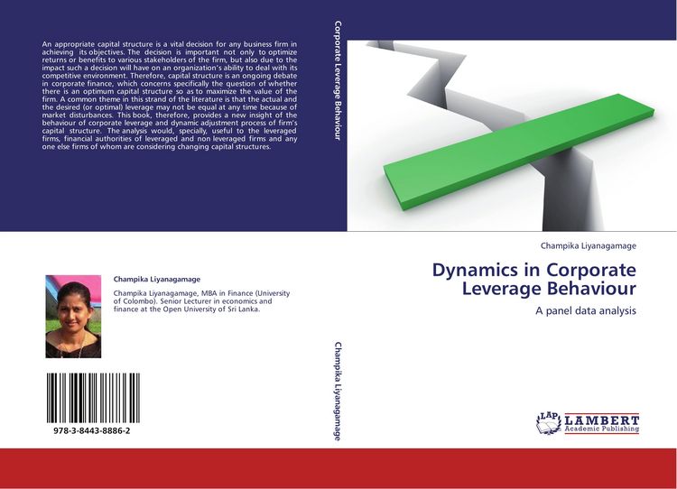 Produktbild: Dynamics in Corporate Leverage Behaviour
