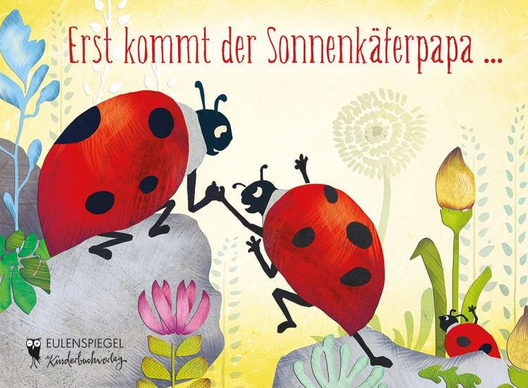 Produktbild: Erst kommt der Sonnenkäferpapa ...