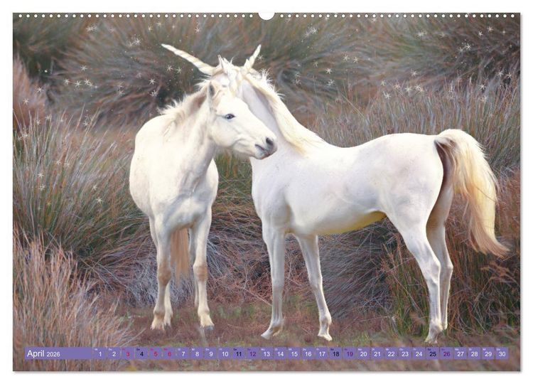 Produktbild: Einhorn Welt - vertr&auml;umte Einhornbilder (hochwertiger Premium Wandkalender 2026 DIN A2 quer), Kunstdruck in Hochglanz
