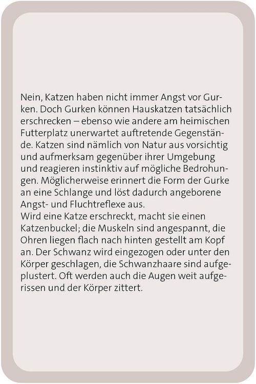 Produktbild: Das gro&szlig;e Katzen Quiz