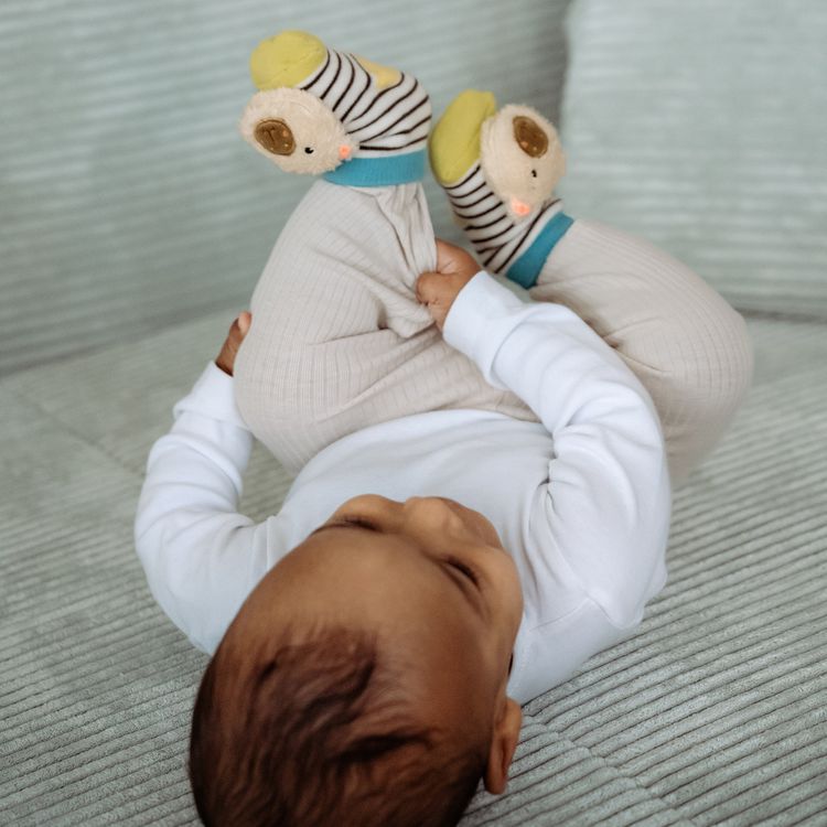 Produktbild: Rasselsocken Capybara