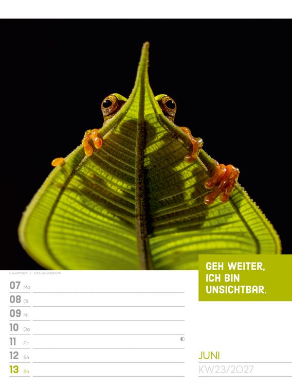 Produktbild: Tierisch Spr&uuml;chekalender Wochenplaner 2027
