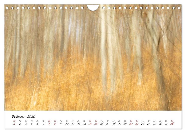 Produktbild: Abstrakte Landschaft ICM (Intentional Camera Movement) Fotografie (Wandkalender 2026 DIN A4 quer), CALVENDO Monatskalender
