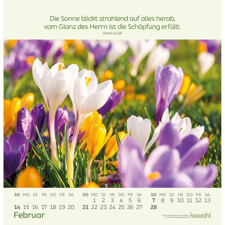Produktbild: Blumengr&uuml;&szlig;e 2027