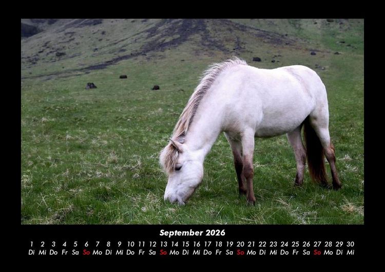 Produktbild: Die Welt der Pferde 2026 Fotokalender DIN A3