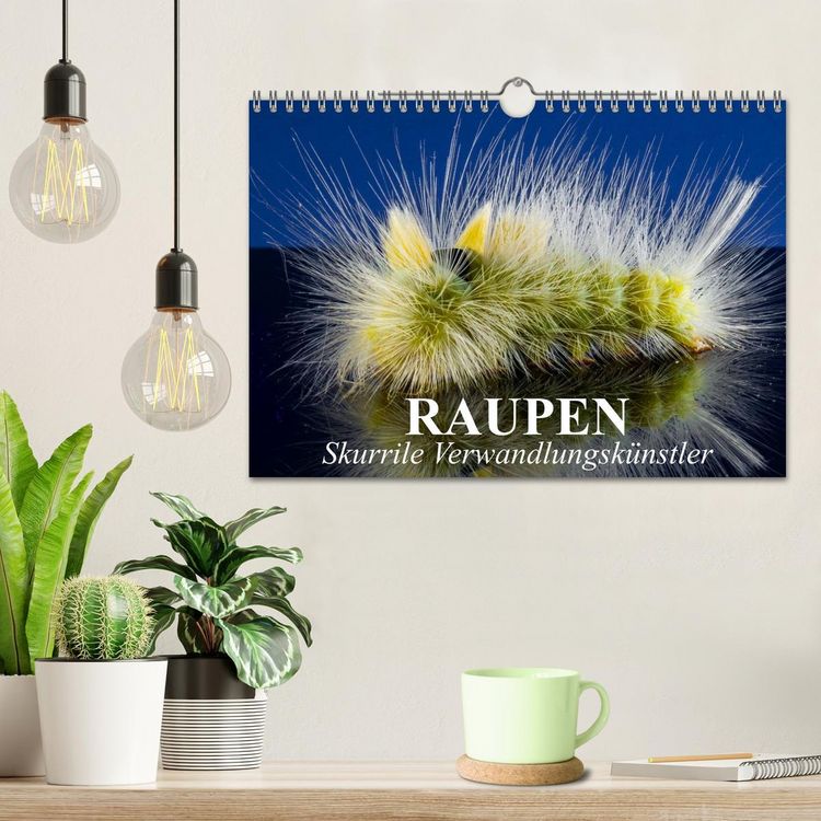 Produktbild: Raupen - Skurrile Verwandlungsk&uuml;nstler (Wandkalender 2026 DIN A4 quer), CALVENDO Monatskalender