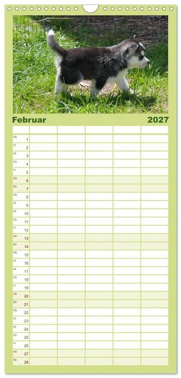 Produktbild: Familienplaner 2027 - Husky Welpen mit 5 Spalten (Wandkalender, 21 x 45 cm) CALVENDO