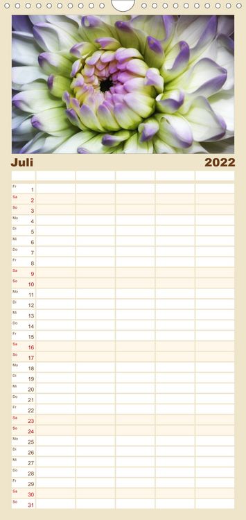 Produktbild: Familienplaner Floral Portraits - Blumen Impression (Wandkalender 2022 , 21 cm x 45 cm, hoch)