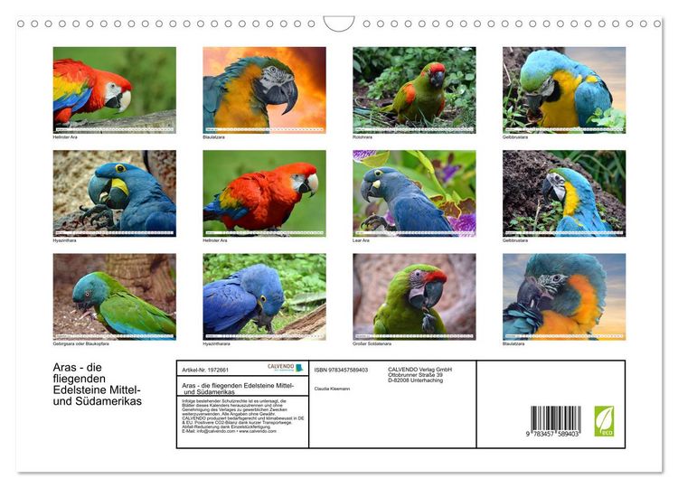 Produktbild: Aras - die fliegenden Edelsteine Mittel- und S&uuml;damerikas (Wandkalender 2026 DIN A3 quer), CALVENDO Monatskalender