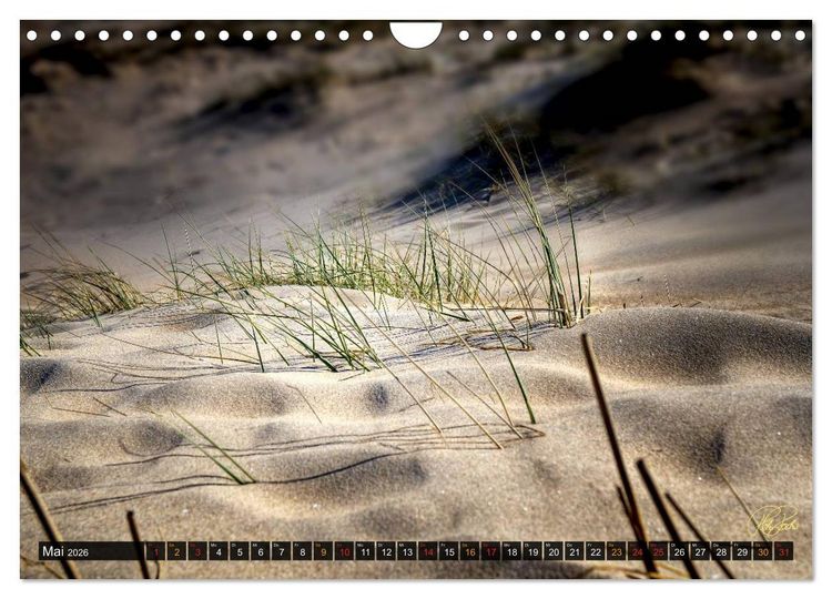 Produktbild: Nordsee-D&uuml;nen (Wandkalender 2026 DIN A4 quer), CALVENDO Monatskalender