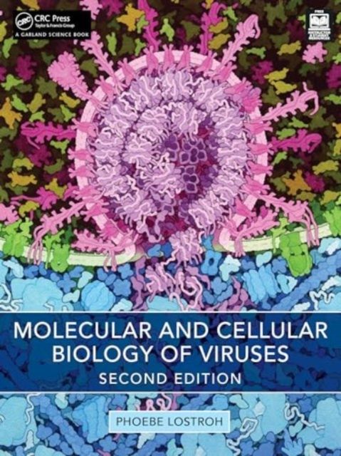 Produktbild: Lostroh, P: Molecular and Cellular Biology of Viruses
