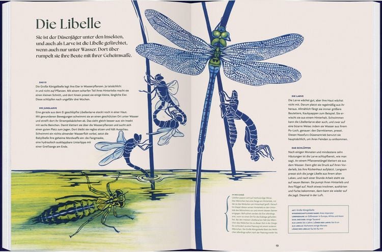 Produktbild: Verwandelt