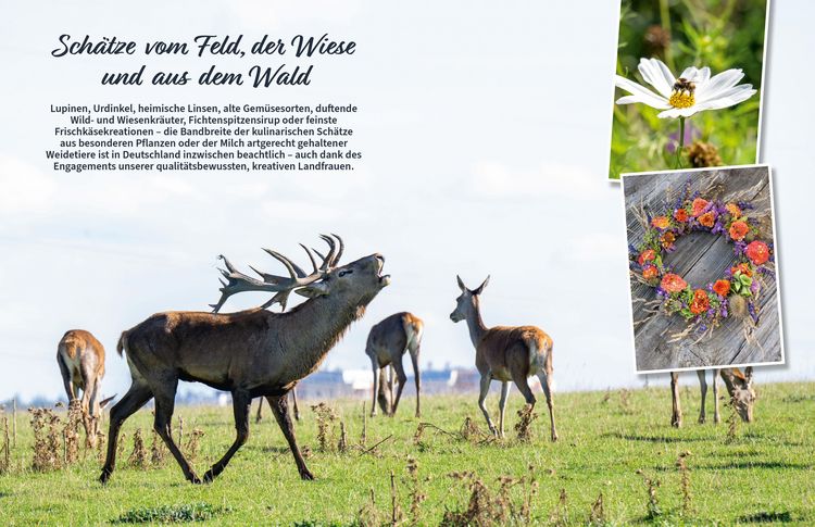 Produktbild: Kulinarische Sch&auml;tze vom M&uuml;nsterland bis zu den Alpen