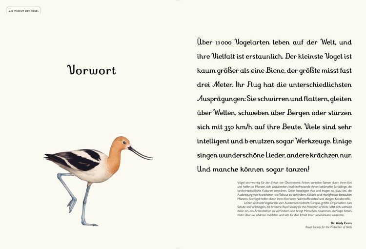 Produktbild: Das Museum der V&ouml;gel