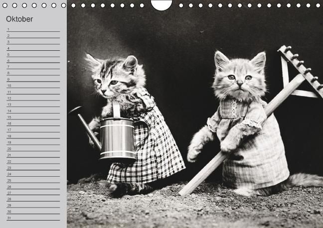 Produktbild: Katzen und Hunde - Nostalgie auf Pfoten (Wandkalender immerw&auml;hrend DIN A4 quer)