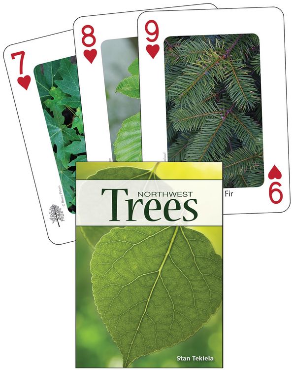 Produktbild: Trees of the Northwest Playing Cards