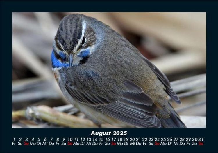 Produktbild: Vogelparadies 2025 Fotokalender DIN A5