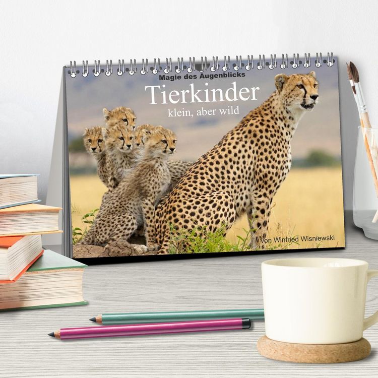 Produktbild: Magie des Augenblicks - Tierkinder - klein, aber wild (Tischkalender 2026 DIN A5 quer), CALVENDO Monatskalender
