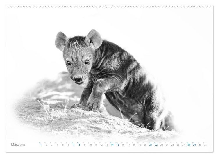 Produktbild: AFRIKA - Schwarz-weiss Fotografien im modernen "High Key" Look (hochwertiger Premium Wandkalender 2026 DIN A2 quer), Kunstdruck in Hochglanz