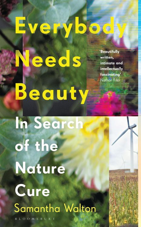 Produktbild: Everybody Needs Beauty