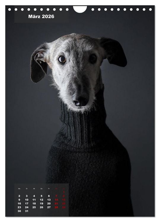 Produktbild: UNDERDOG - Windhundportraits (Wandkalender 2026 DIN A4 hoch), CALVENDO Monatskalender