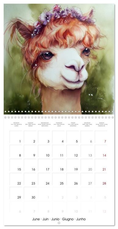 Produktbild: Alpagas du c&oelig;ur (Calendrier mural carr&eacute; 2026 30x30 cm) Calendrier double avec une page pour vos prises de notes