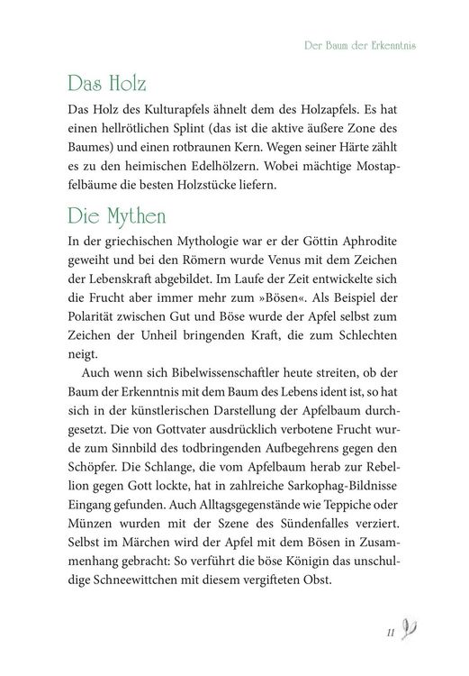 Produktbild: Baumhoroskop der Kelten