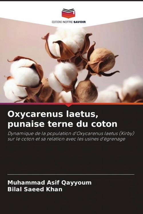 Produktbild: Oxycarenus laetus, punaise terne du coton