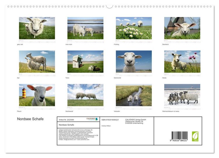Produktbild: Nordsee Schafe (hochwertiger Premium Wandkalender 2026 DIN A2 quer), Kunstdruck in Hochglanz