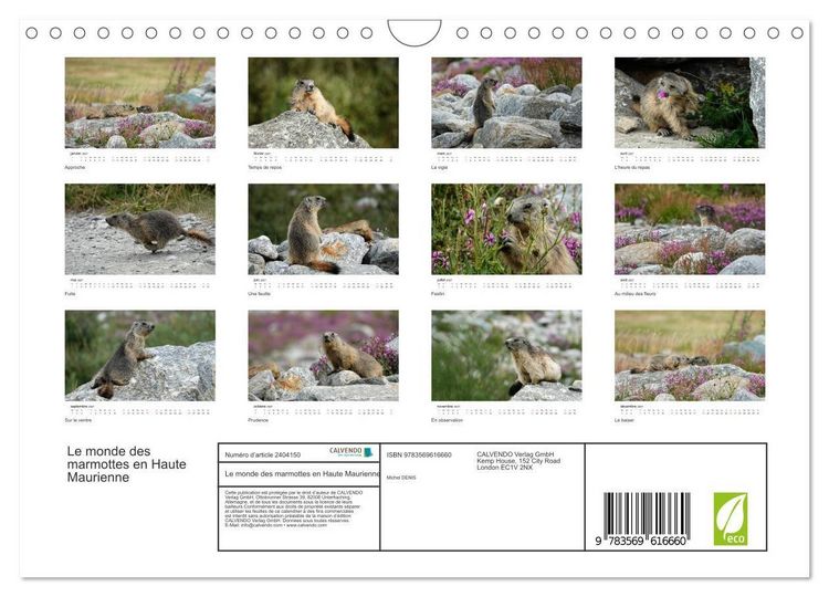 Produktbild: Le monde des marmottes en Haute Maurienne (Calendrier mural 2027 DIN A4 vertical), CALVENDO calendrier mensuel