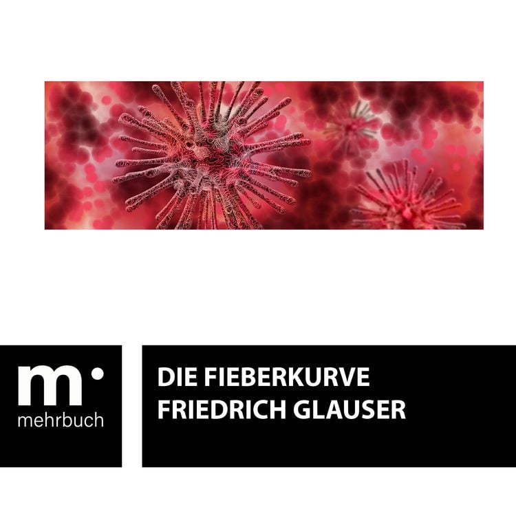 Produktbild: Die Fieberkurve