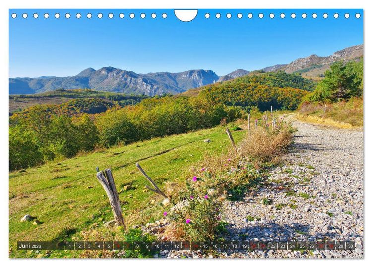 Produktbild: TransApuseni - Sch&ouml;nste Panoramastra&szlig;e in Siebenb&uuml;rgen (Wandkalender 2026 DIN A4 quer), CALVENDO Monatskalender